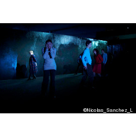 /photos/2013_Projet_IBSEN_sceno.png